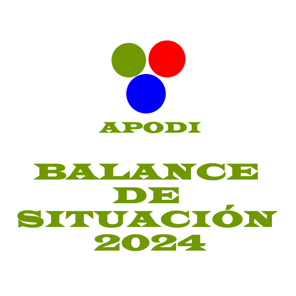 Balance situacion 2024
