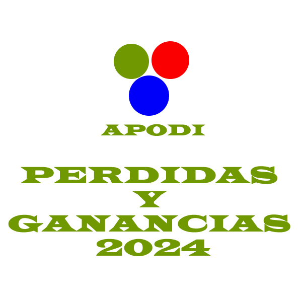 Perdidas Ganacias 2024